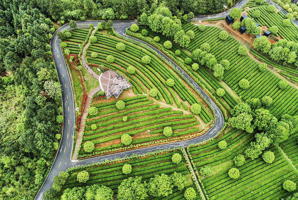 谢望东--18108424491---DJI_0198a1h.jpg 谢望东--18108424491---DJI_0198a1h.jpg