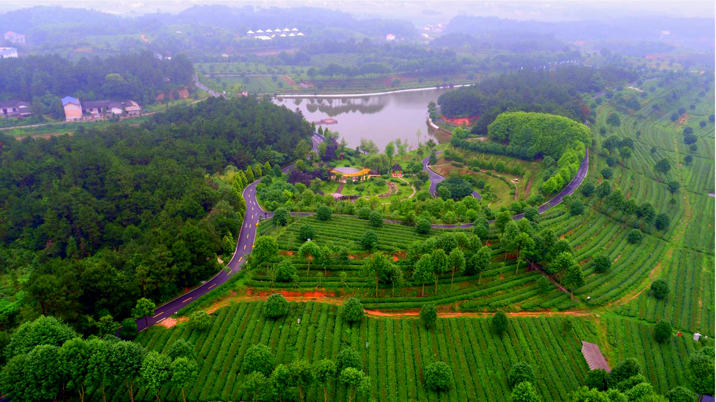 微信截图_20200120144711.jpg 微信截图_20200120144711.jpg