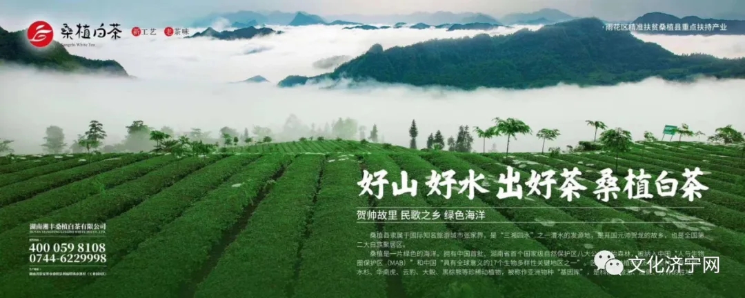 微信图片_202006080959094.jpg 微信图片_202006080959094.jpg