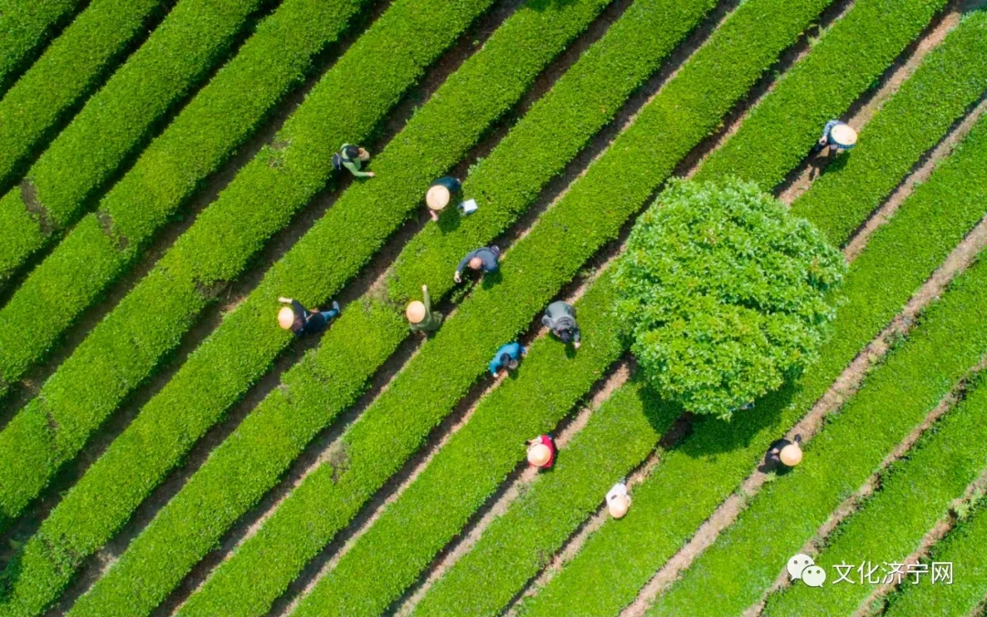 微信图片_2020060809590918.jpg 微信图片_2020060809590918.jpg