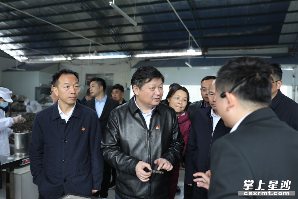 付旭明在乐动体育在线_乐动(中国)桑植白茶洪家关工厂调研产业发展情况。.jpg