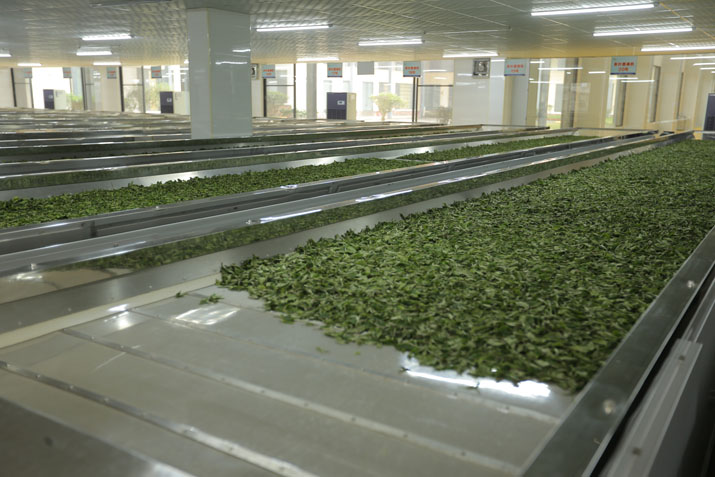 6360d50d467c3.jpg 6360d50d467c3.jpg