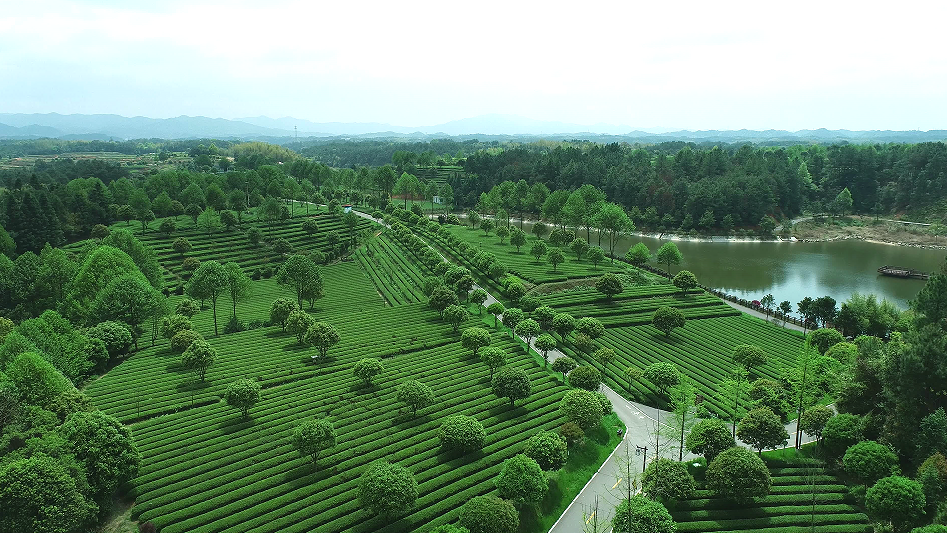 微信截图_20230510085615.png 微信截图_20230510085615.png