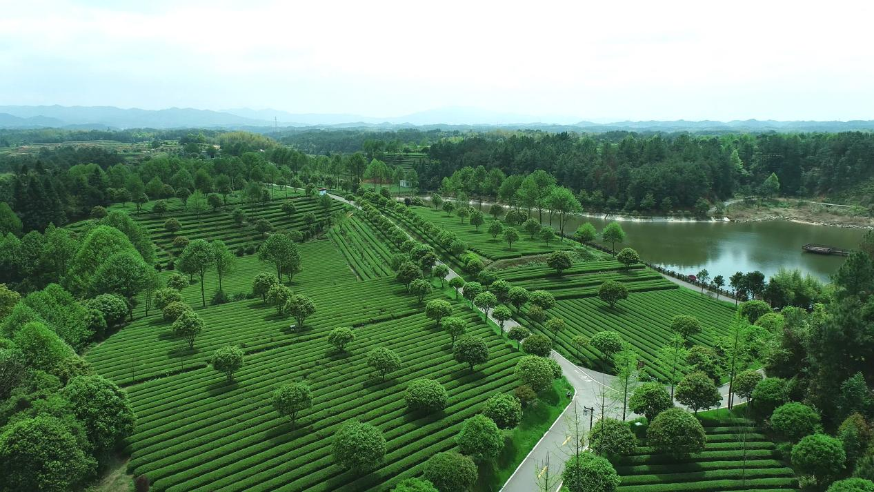 图片5.png 图片5.png